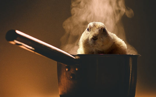 Ground Hog Day Recipes