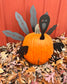 Pumpkin Turkey Decoration Kit